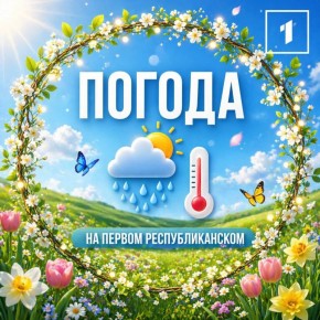 ������ ����!. ������� 27 ������ � ���������� ��������� ���������� ����������, ������ �����