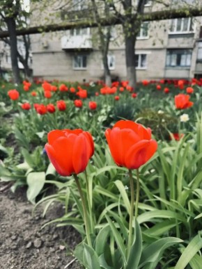 ������� ����������: ������ ����, ��������� ������!