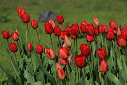 ������ ���� ������������ ������� ������ � �������� ���!