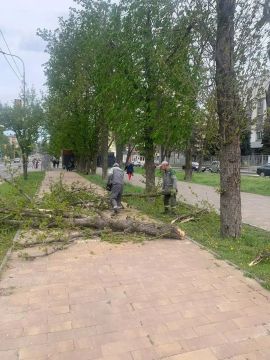 ������������� ���������� ������������� ��������� ��������, ��������� �������� ������