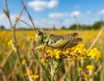 �������� ���������� �� ����: �������������� � ��� � ���� ���� ������� �� ��������