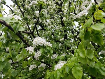 ������ ���� ������������� ������������� �����!