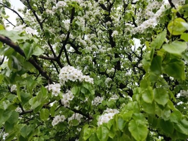 ������ ���� ������������� ������������� �����!