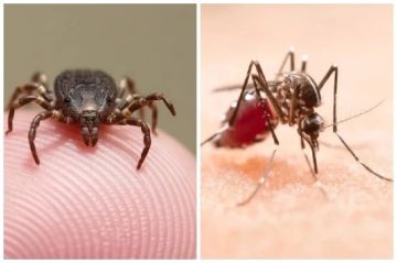 ��� ����������. ��� ���� ������ � ������� ��-�� ��������� � ������