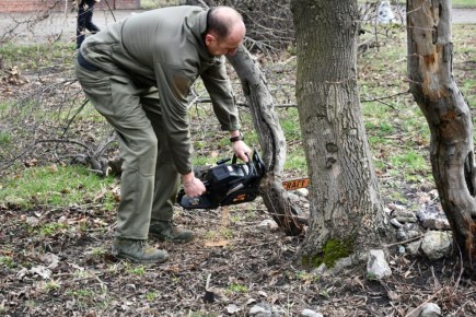 ������ ��������: �� ���������� ���������� ������ ���������� � ������ ����� ������� ������� ���������� ���������� �� ��������� �������