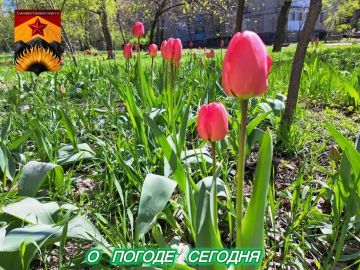 ������������� ������� � ������ � ���������� ������