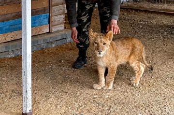 ���������� � ������� ������� �������� � �������� ���������