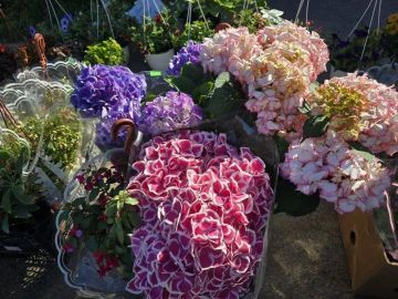 � ����������� �� ����������� ������� ������ �������