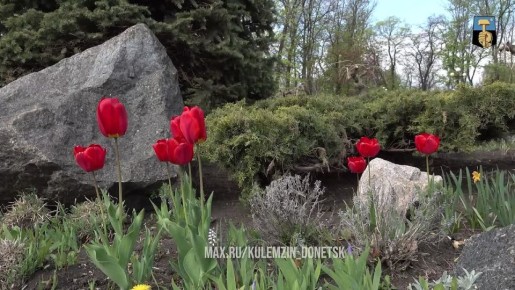 ������� ��������: ����� ���������. ������������