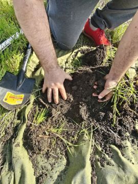 ������ ��� � ������������: ������ ���������� �� �������������