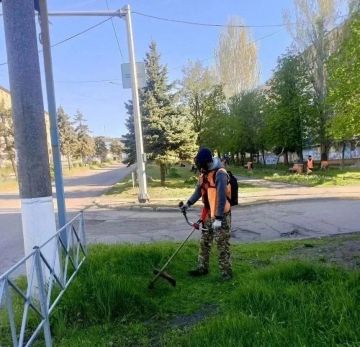 ������������� �������� ���������� ��������������� ���������� ������ �����������