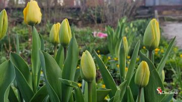 ����� ��������: � ����� ����!. #�������� #������������������ #���������������