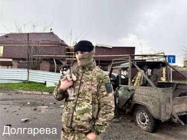 ���� ���������: ��������. ������.. @dolgarevaanna