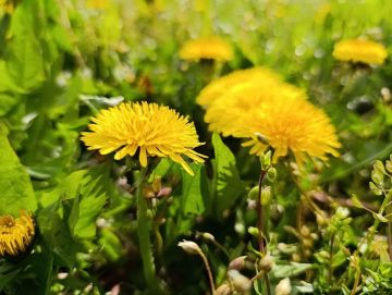 ������ ���� ������� ���������� ������� ��������!