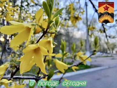 ������������� ������� � ������ � ���������� ������