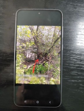 � ������� ����������� �������� ������� ����������� ����� ����������