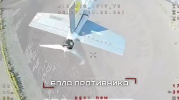 ����������� ����� ������ ������� � ������ ����� � ���� �� ����������, ����������� � � ���������������� �������