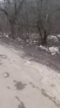 ������ ��������, ��� ����� �� ��������� � �������� ����� ������� �� ���� ������