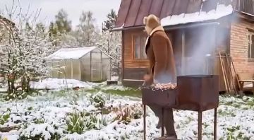 � 1 ���, ������� �������� �������� ������