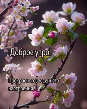 #������_����