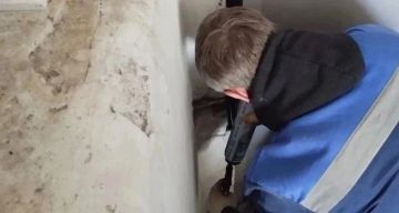������� ������������ ���� ������� ����������� ��������� ������ � ����������