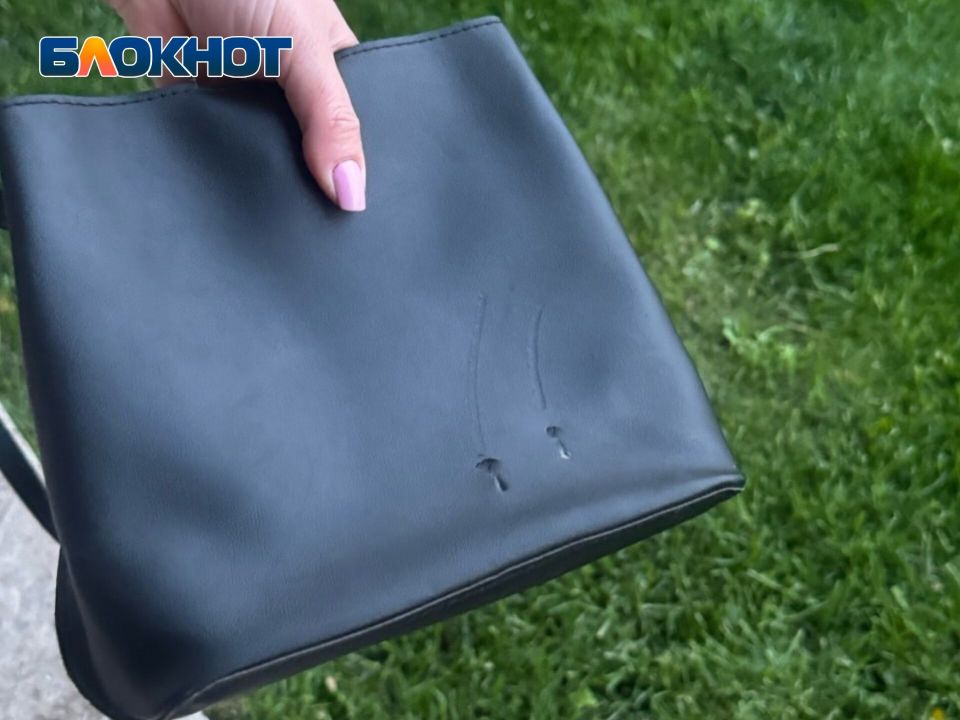 ���� ����� ������ � ������ ������� ����������� ������ �������