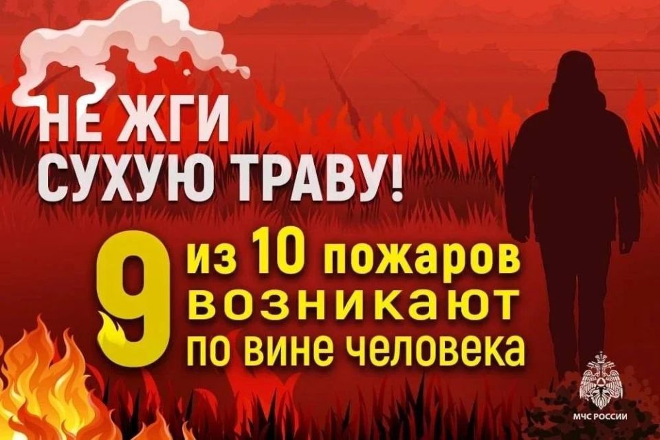 МЧС России предупреждает!. Опасность пала заключается в том, что сухая трава способна вспыхнуть от любой искры, и огонь быстро распространяется, особенно в ветреную погоду