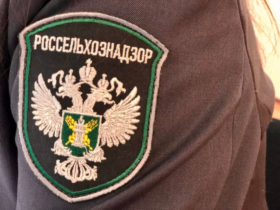 Управлением Россельхознадзора по Донецкой Народной Республике и Луганской Народной Республике были получены сведения, на основании которых принято решение об отнесении деятельности ИП Быцаня А.Л. к категории высокого риска