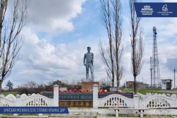 ����� ���������: �������� 81-� ��������� ������ ��������������� ���������� ����� �������� ���� �������������� ��������