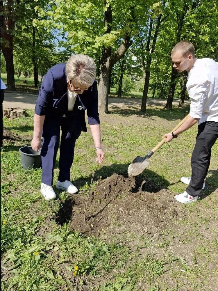 Елена Рязанцева: «Аллея памяти»: в Пролетарском районе высадили деревья в преддверии 81-й годовщины Великой Победы Елена Рязанцева: «Аллея памяти»: в Пролетарском районе высадили деревья в преддверии 81-й годовщины Великой Победы