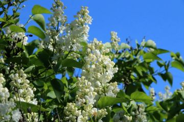 8 ��� � �������:. ���������� ����������, ��� ������������ �������