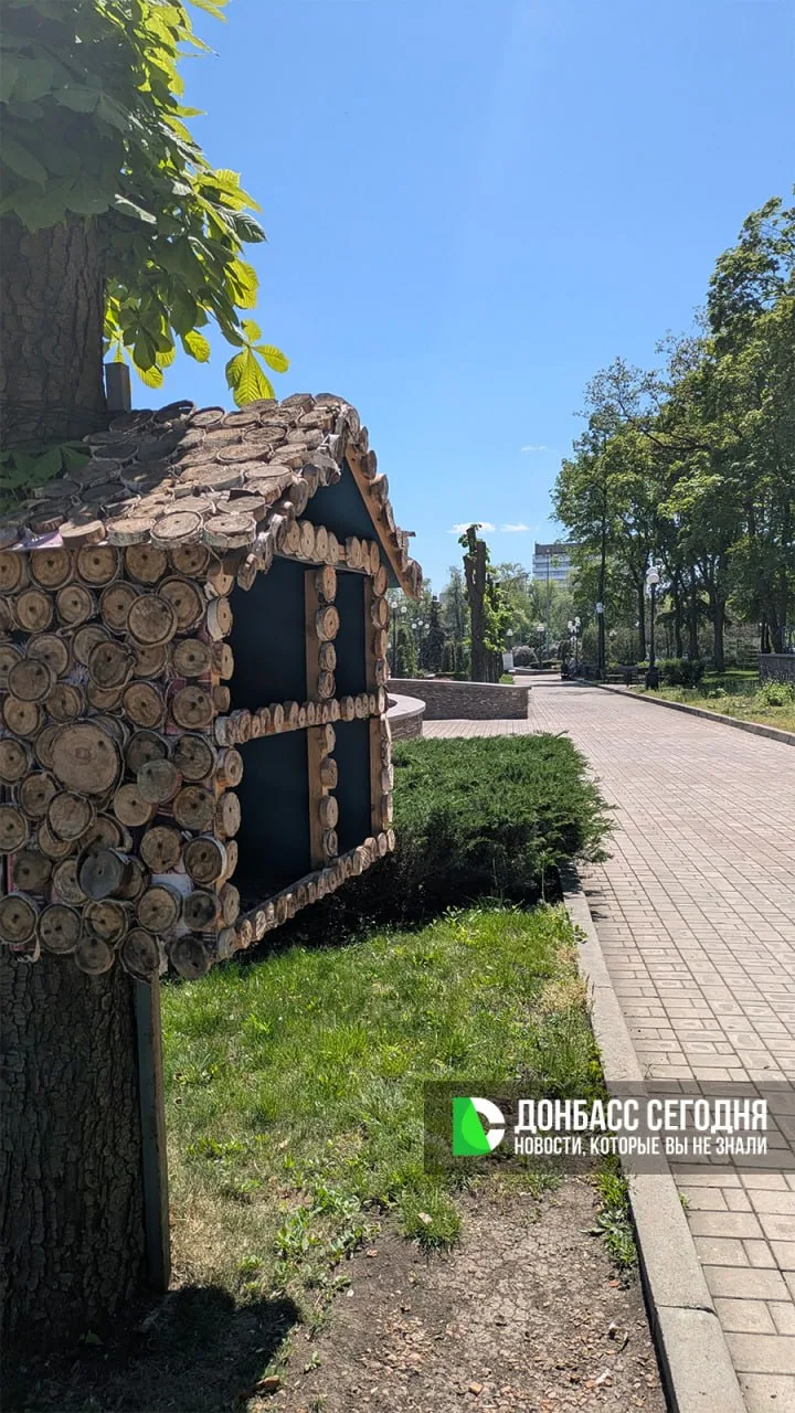 Донецкий парк им. Щербакова прямо сейчас Донецкий парк им. Щербакова прямо сейчас