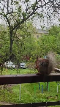 ����� ������� �������� � ����� � ������, ����� ������������