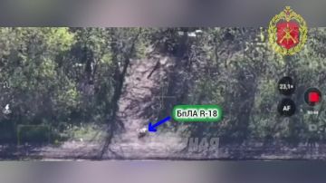 �������� �����. �� ���������� ����������� ����� 88 ������� ������� � ���������� ����� ������� ���� R-18 "���� ���" ��������� � ������ �.�. ����������