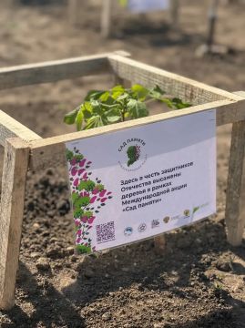 Судебные приставы Новоазовского района присоединились к международной акции «Сад памяти»