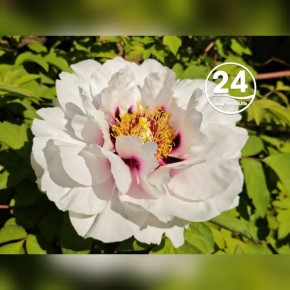� ������ �����, ���������!