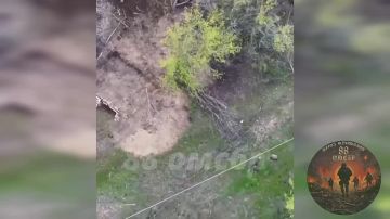 ���� 88 ������� �������� � ����������� ������ �� ��������� � ���-������������� (���������� �����������) � ������� ��� ������ � ������������� ��� �������� ������