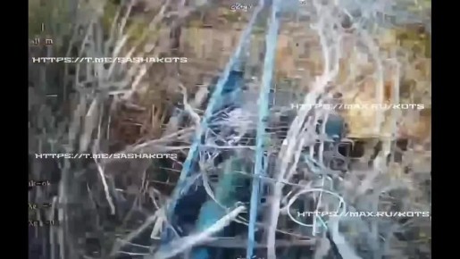 ��������� �������: ������ ����� � ��������. ��������� ������ �������� ������������� �������� ����� ���������� ��������� ���������� �� ��������������-������������� �����������