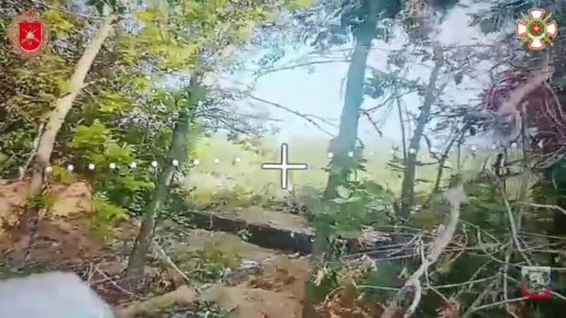 Владислав Шурыгин: Операторы FPV-дронов бригады «Бешеные псы» продолжают работу по укрытиям противника в лесополосах Добропольского направления