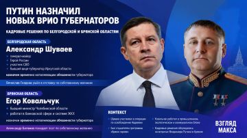Владимир Путин провёл в Кремле рабочие встречи с Александром Шуваевым и Егором Ковальчуком