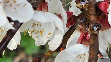 ����� ��������: � ����� ����!. #�������� #������������������ #���������������