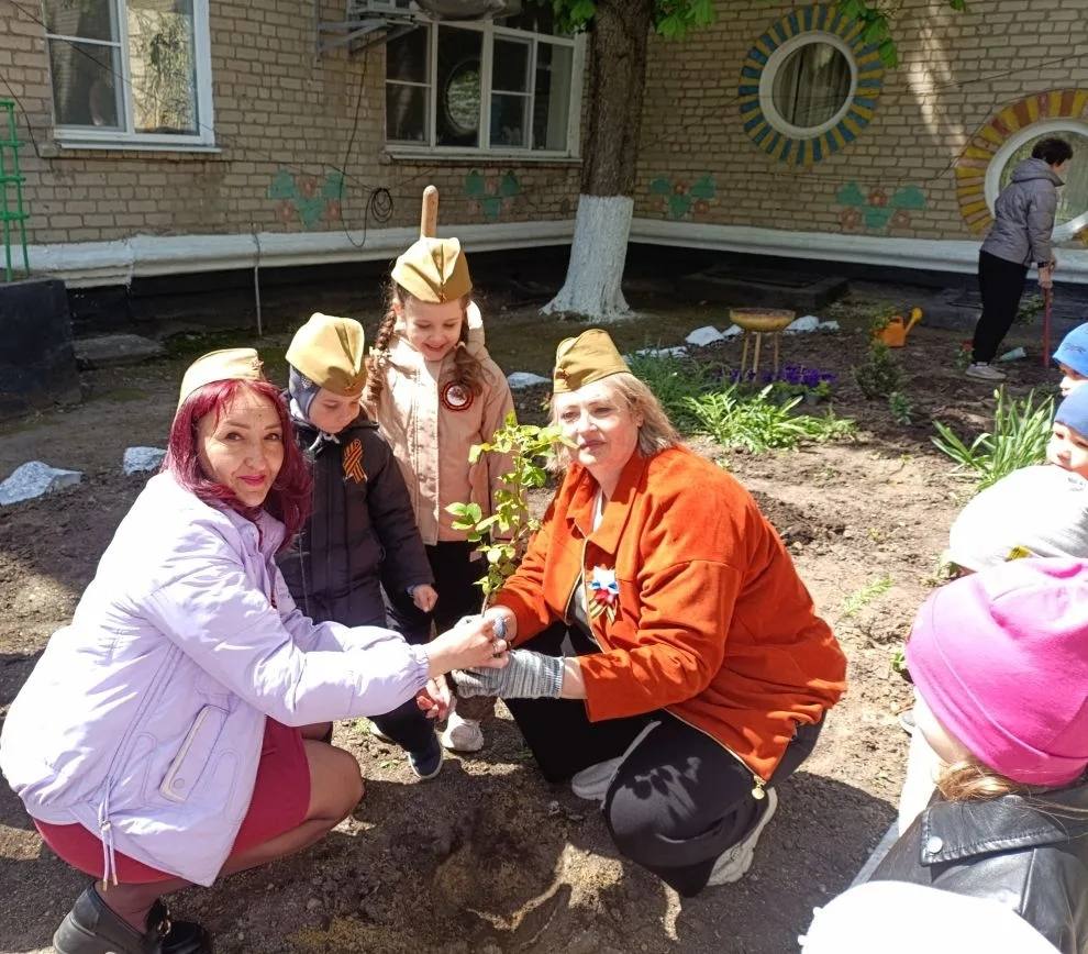 Сад памяти в Снежном: в честь героев, во имя будущего Сад памяти в Снежном: в честь героев, во имя будущего
