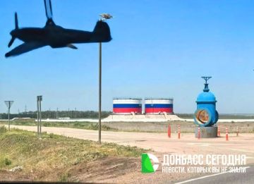 � ��� ������������� ��������� ������ ����������