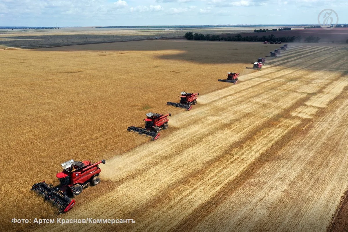 RBE Group займется продажей зерна в новых регионах, стало известно «Ъ»