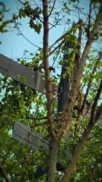 ������� ���� "�����", ������� ���������� ���������� �������� ������� �� ��������� ��������� ����� �� ����������� � ��������