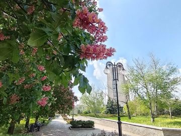 16 ��� � �������:. ���������� ����������, ��� ������������ �������