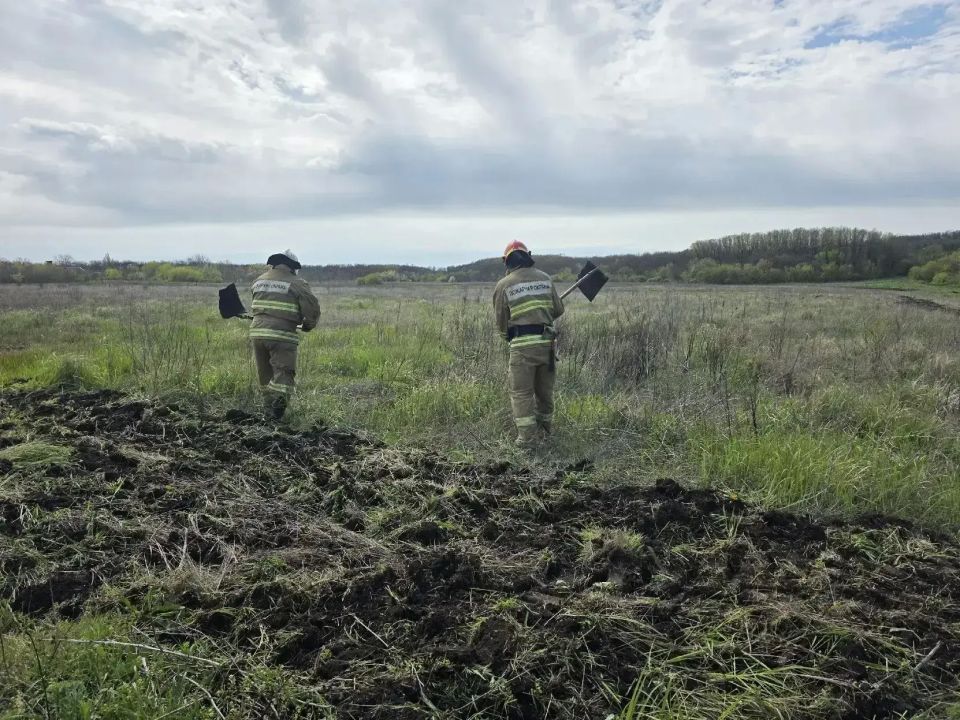 Совместные учения по тушению лесных пожаров прошли в Азовском лесничестве Совместные учения по тушению лесных пожаров прошли в Азовском лесничестве