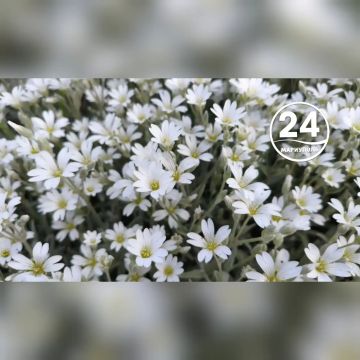 С добрым утром, Мариуполь!
