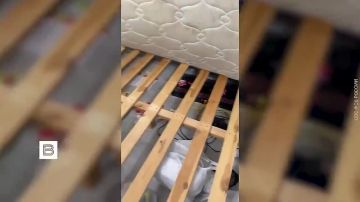 �������� ��������� 37 �������, ����������� ������� �������� ���������� � ��� �� �������� ����������, �������� � ��� ������