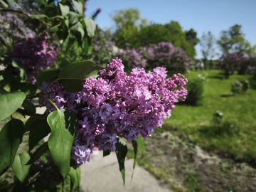 18 мая в республике переменная облачность, местами кратковременные дожди, грозы